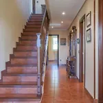 بيت للعطل Avg Estanco 252 *